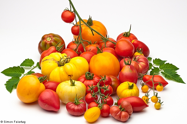 group of various tomato varieties