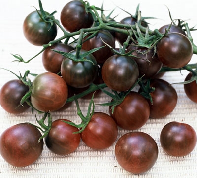 cluster of black cherry tomatoes