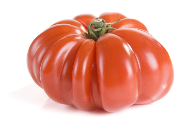 Mortgage Lifter Tomato variety