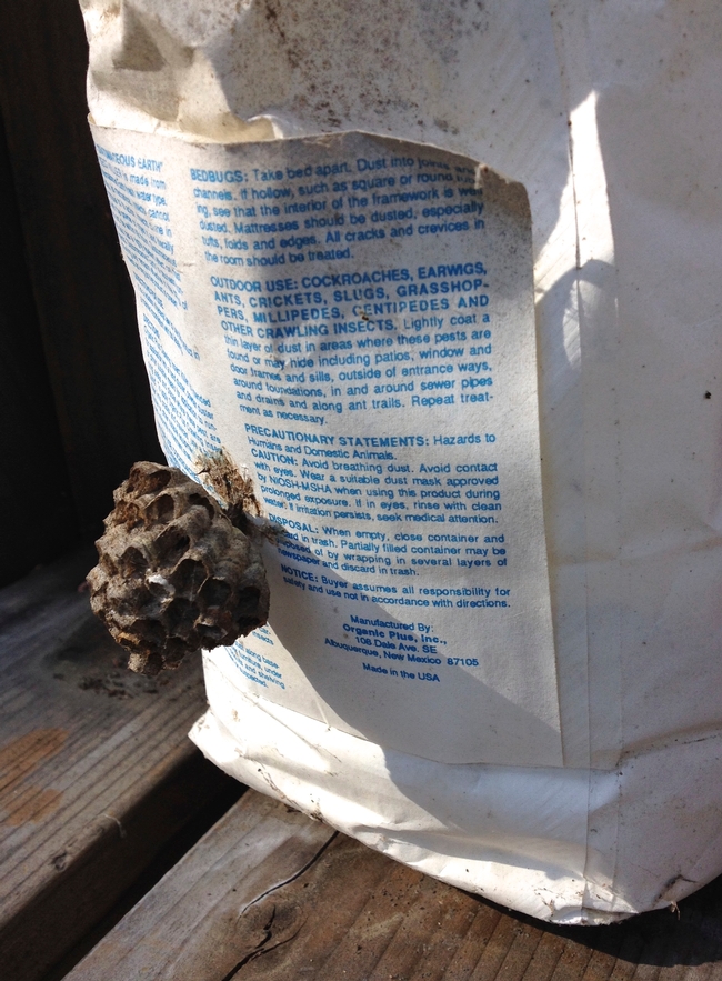 Paper wasp nest on bag of diatomaceous earth.