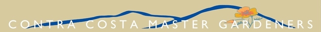 CCMG alternate logo