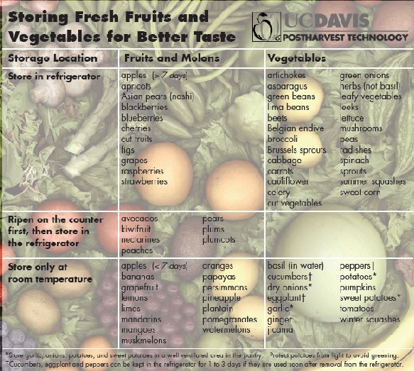 How To Store Fresh Fruits And Vegetables Chart
