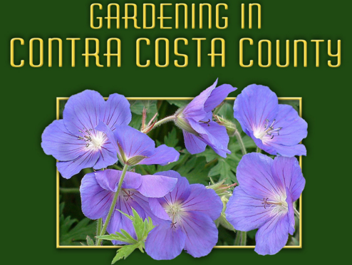 Contra Costa Water District's<br>Garden Guide