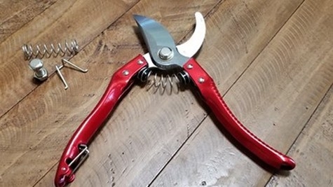 Photo of pruning shears