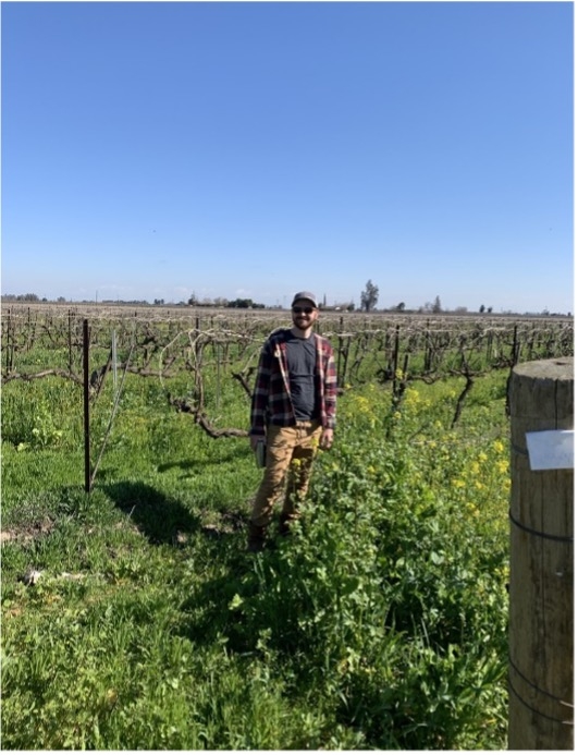Steven Cardoza with Cover Crops in his Vineyard. Photo by Samikshya Budhathoki.