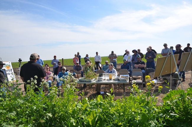 Picture of audience members attending field day at Lucero Farms on February 26, 2015.