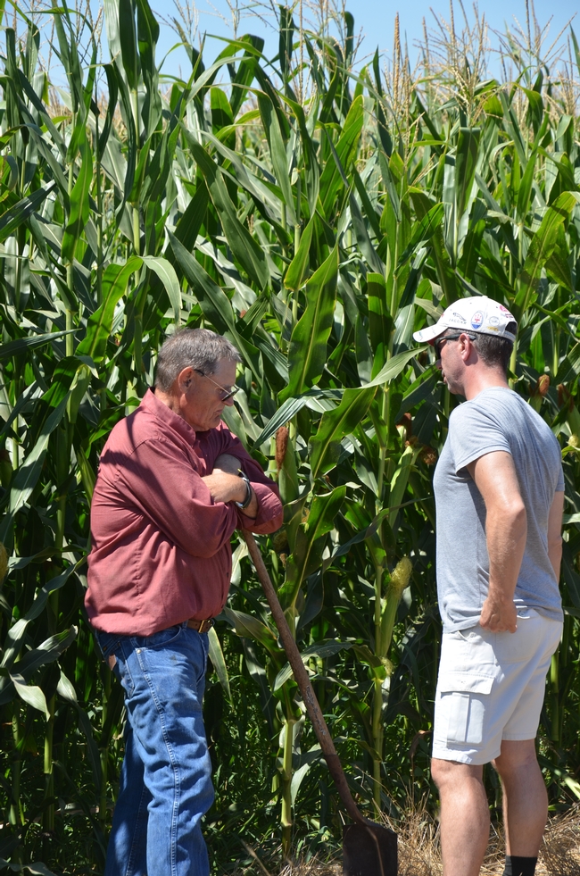 Two guys in a corn field.