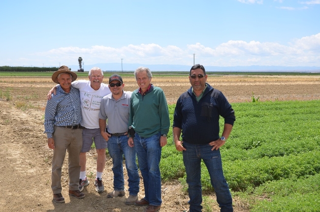 Spanish tomato researchers visiting research plots in Five Point, CA.