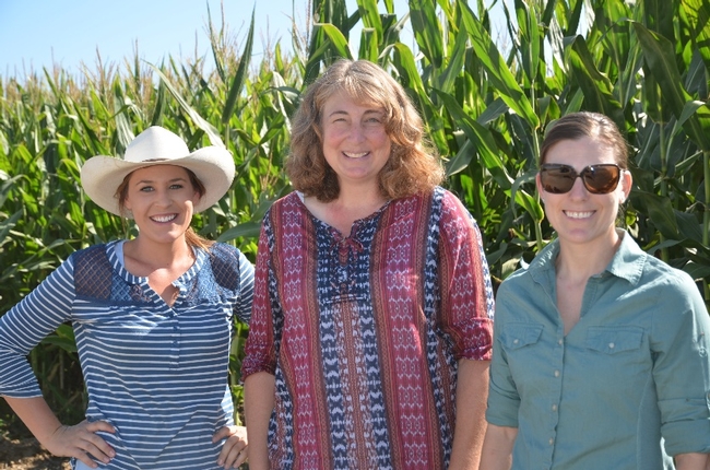 Soil Health Baseline Monitoring Team.  Left to right: Wendy Krehbiel, Megan Schroeder (USDA-NRCS), and Betsy Karle (UCCE Glenn County).
