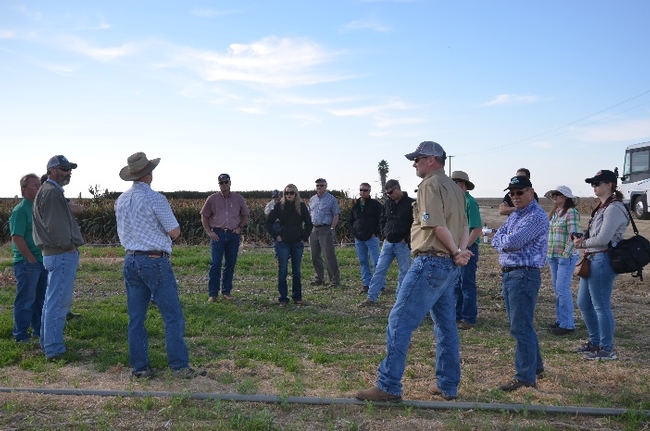 Dan Munk (light blue shirt and wide-brimmed hat at left) hosts Steve Vasquez's TKI Crop Vitality at the long-term NRI Project study site in Five Points, CA