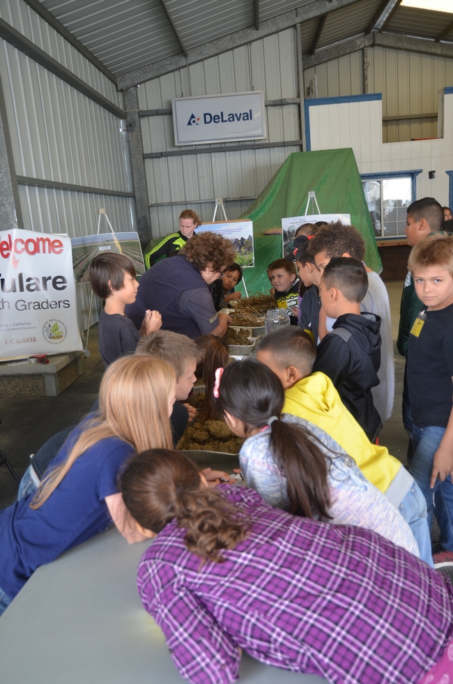 KARE's Laura Van Der Staay working with Tulare County fourth graders who were part of the 2017 AgVentures Day at the International Ag Center in Tulare, CA, May 12, 2017.