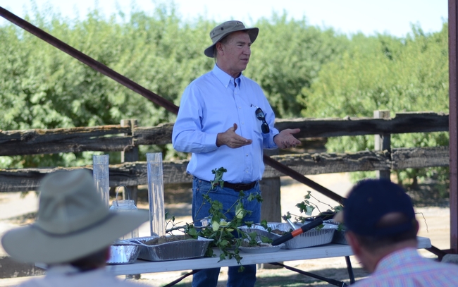 Veteran UC Cooperative Extension Advisor, Dan Munk, of Fresno County, leading discussion of mid-season cotton crop and water management, at the July 24th public field day at Pikalok Farms in Mendota, CA.