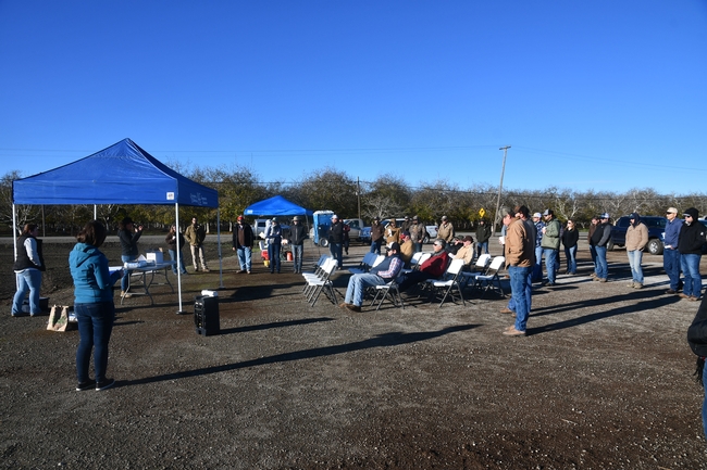 Public field day organized by UC ANR's Amber Vinchesi and Sarah Light that was dedicated to soil health held at the Suttter County farm of Vincent Andreotti. December 6, 2018.