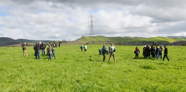 Paicines Ranch cover crop workshop participants examining soil health in Paicines Ranch pasture