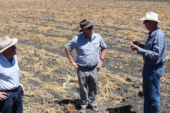 Australian vegetable crop consultants and farmer network coordinators Mike Titley (left) and David Vernon (center), meet with Pinnacles Organic farmer, Phil Foster at his farm in Hollister, CA on August 15, 2019