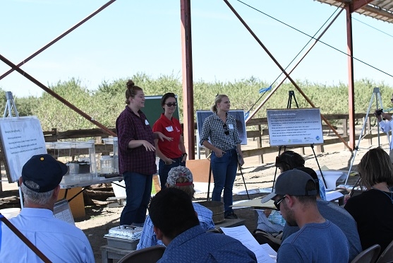 Emily Lovell (left), Shulamit Shroder (center), and Caddie Bergren (right) sharing with field educational event participants information about the CDFA Healthy Soils and State Water Efficiency Enhancement Programs