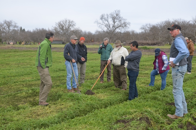 CID Project farmer group meeting in cover crop field of Scott and Brian Park of Park Farming, Meridian, CA, February 2018