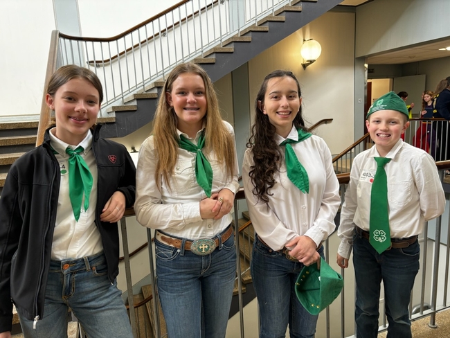4 youth in 4-H uniforms stand against stair bannister