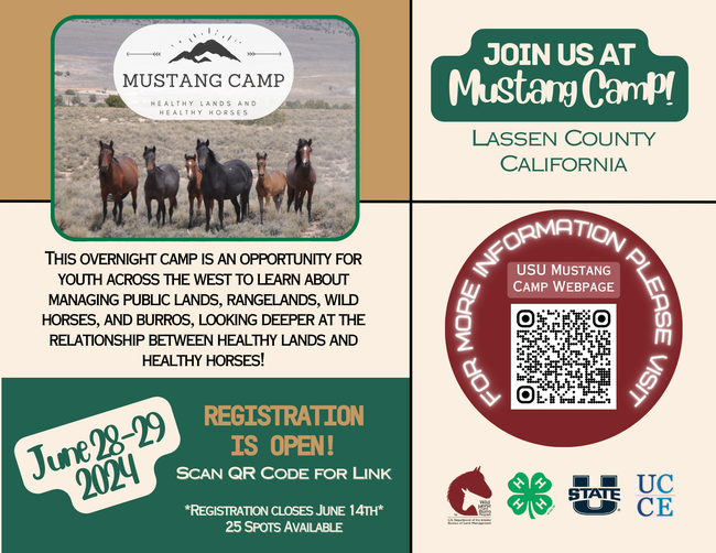 Postcard to promote Mustang Camp. Images of wild horses standing in an open range. Registration is Open! Scan QR code for link