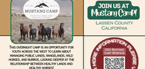 Join us at Mustang Camp! for California 4-H Grown Blog