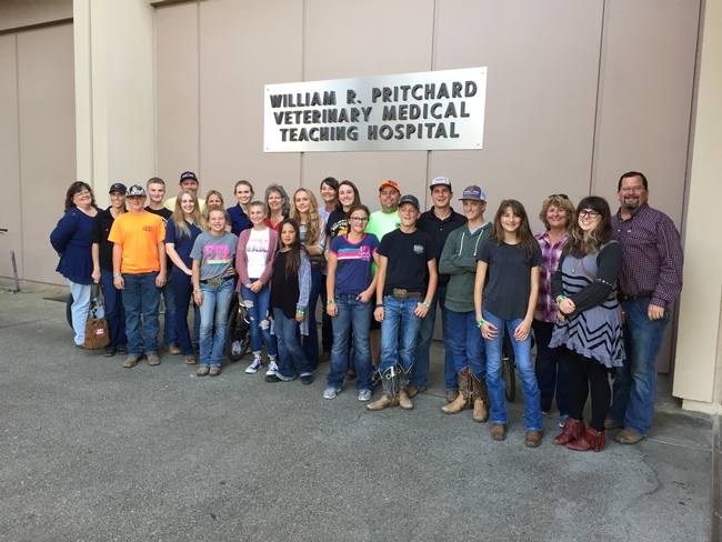 4-H MZAD Project participants tour UCD Veterinary Medical Teaching Hospital