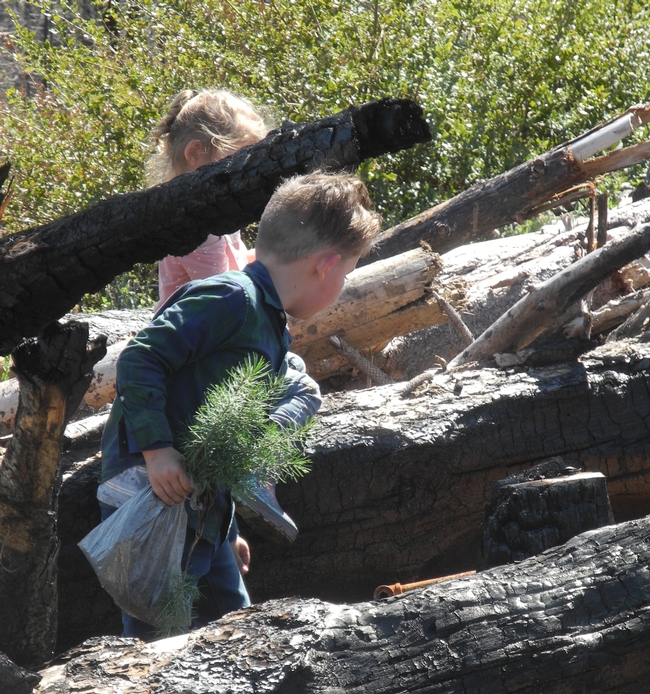 Two youngsters help carry the seedlings donated by SPI to planted in the Ponderosa Fire Area.
