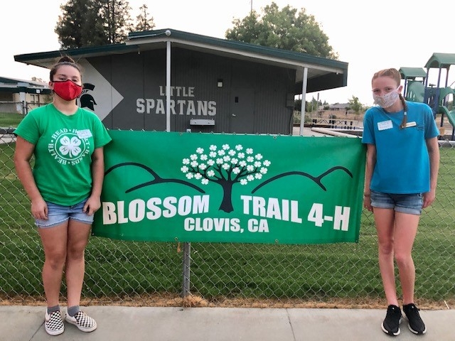 Two youth with face masks stand on either side of the Blossom Trail 4-H banner