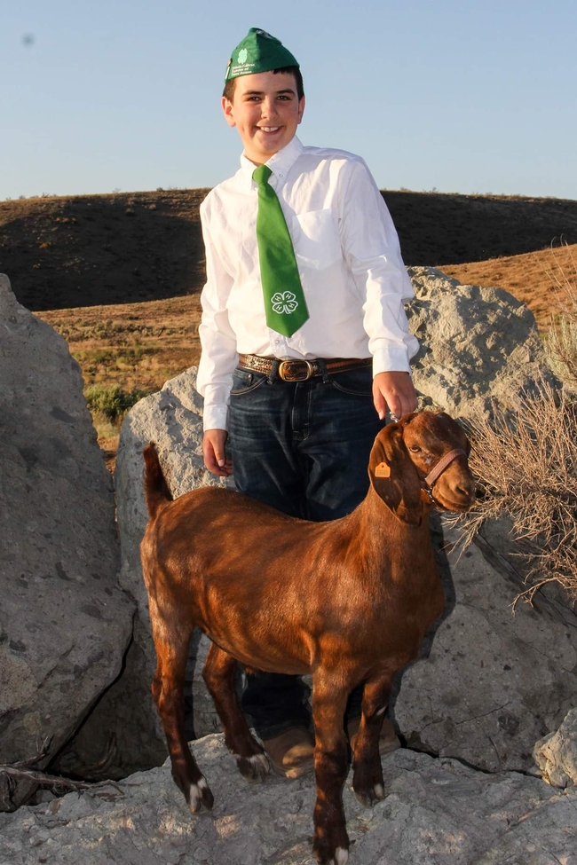 Ryker of Sierra Valley 4-H with goat Toasty (1st year)