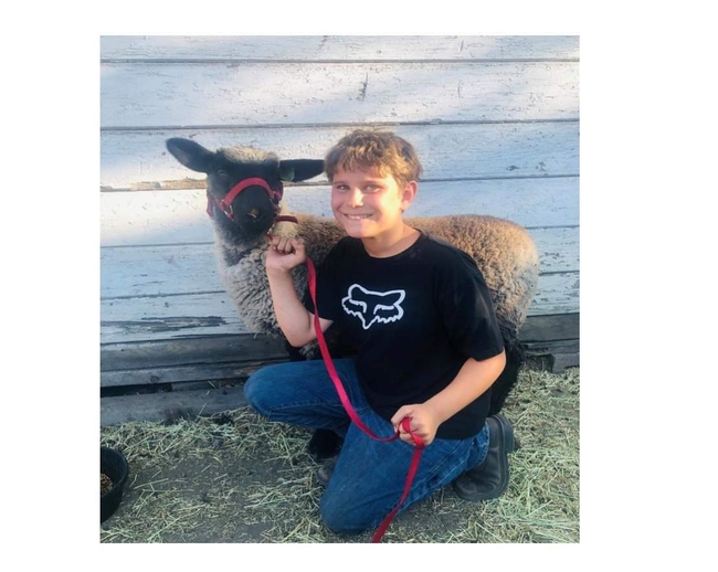 Dexter of Echo 4-H with Hampshire lamb Marty (1st year)