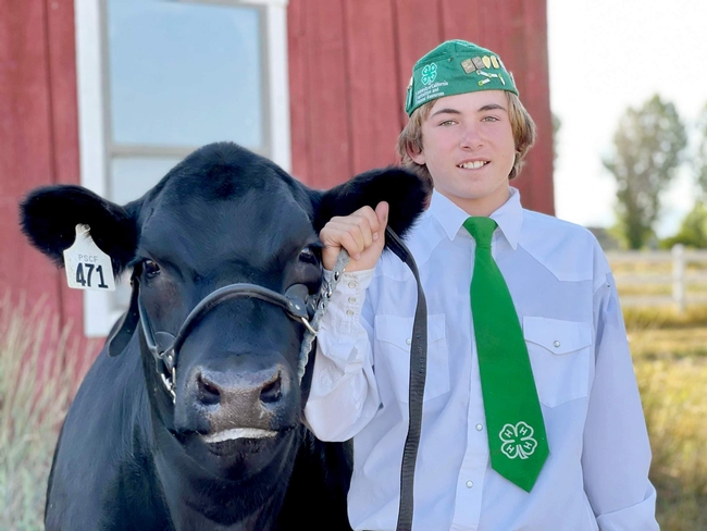 Blaine of Sierra Valley 4-H with black Angus steer Curious George (4th year)