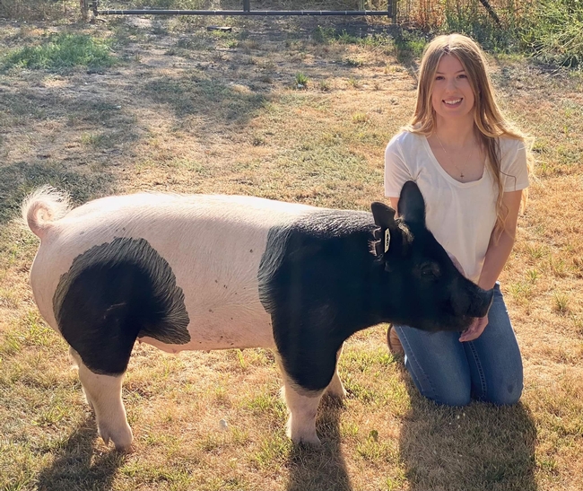 Natalie of American Valley 4-H with Hampshire Barrow pig Bullseye (5th and final year)