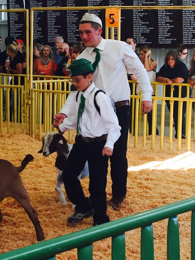 Author with an aide at goat showmanship competition.