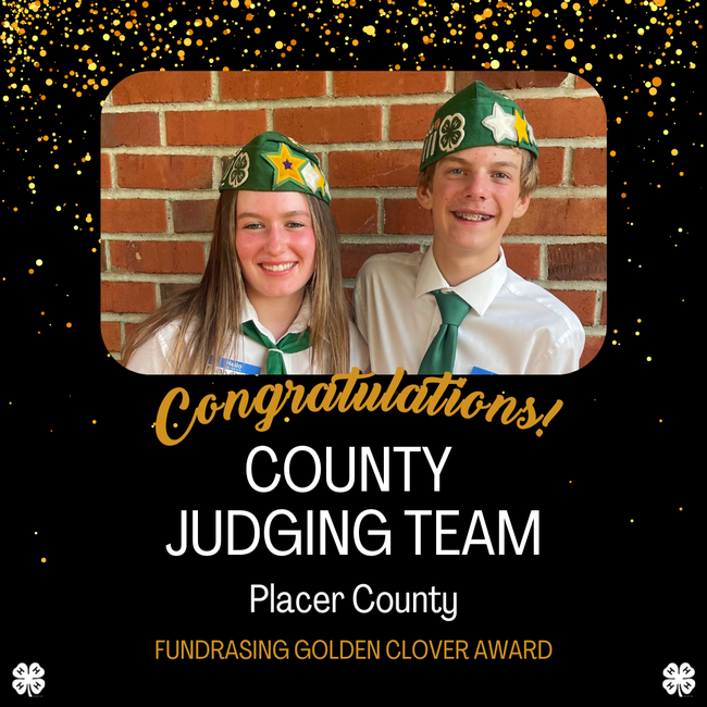 Photo of County Judging Team, Placer - Fundraising award