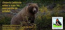 Grizzly bear, español for CalNat Share Images Blog