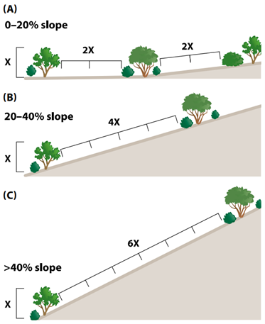 Slopes and tree spacing illustration