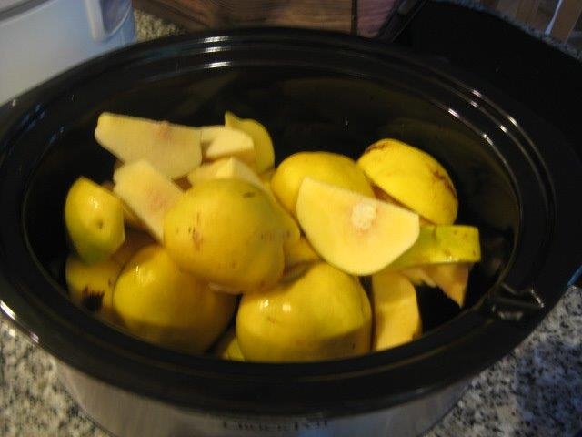 Quince before cooking