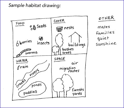 Drawing the components of habitats helps youth learn.