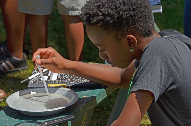 Campers are surprised by the small, living organisms found in the lake. (Photo: Marianne Bird)