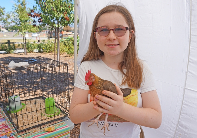 Sunset 4-H member Kate Straub shows off her old English game hen.