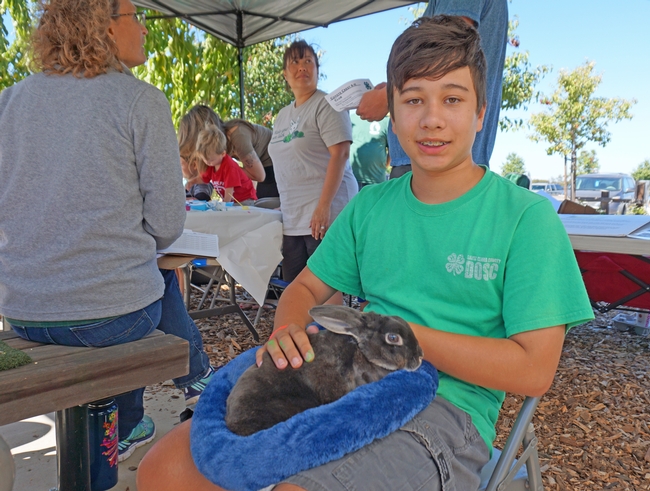 Coyote Crest 4-H member Wes Hann with his brother's rabbit at the harvest festival.