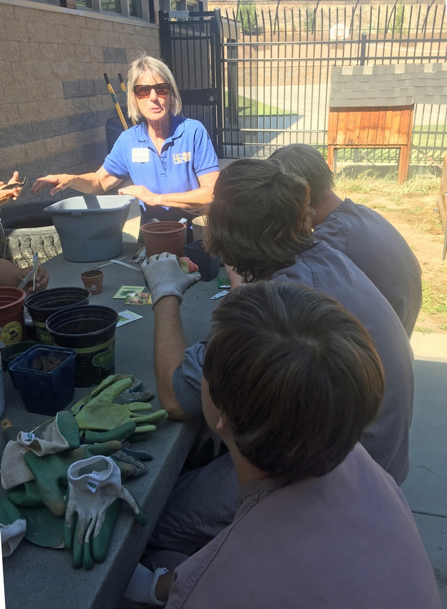 UC ANR community education specialist Becky Miller-Cripps, now retired, gave gardening lessons to youth in 2019.