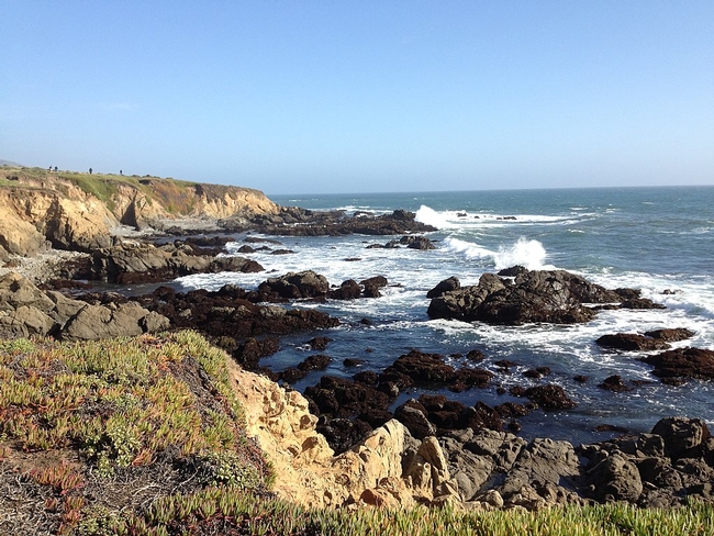 Bluffs and rocky shoreline in Cambria, Calif. (Photo: Peter D. Tillman CC BY-SA 3.0)