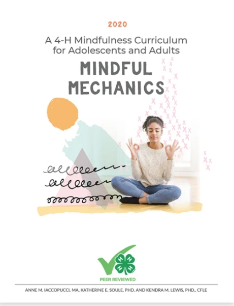 Mindful-Mechanics-curriculum