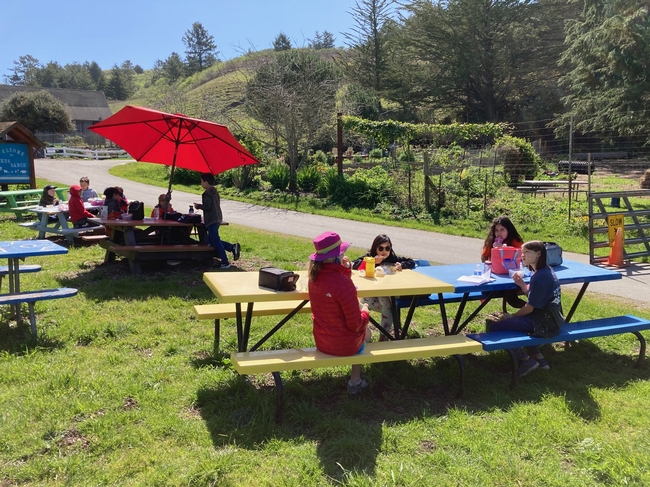 Children sit at blue and yellow picnic tables set on green grass with green hills in the background. A red umbrella shades one table. A garden is across the paved path.