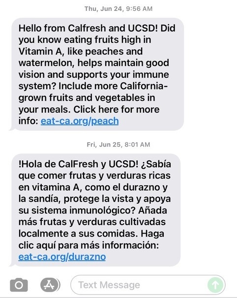 Sample texts from the pilot program