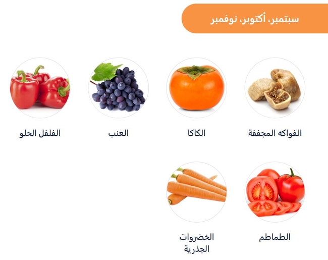 Information about seasonal fresh produce in Arabic