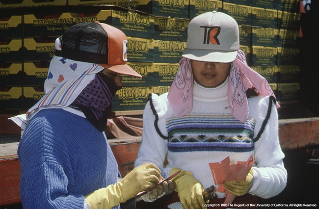 Two female farmworkers handle tags with boxes of berries behind them.