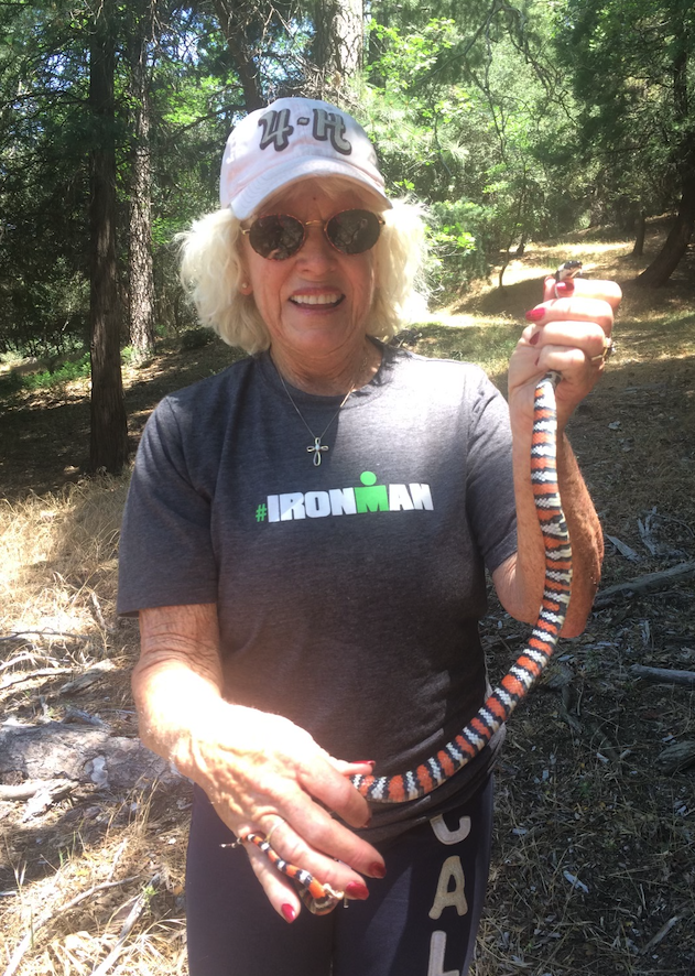 A woman holds up an orange and black striped snake.
