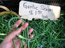 The Difference Between Green Garlic And Garlic Scapes - Yahoo Sports