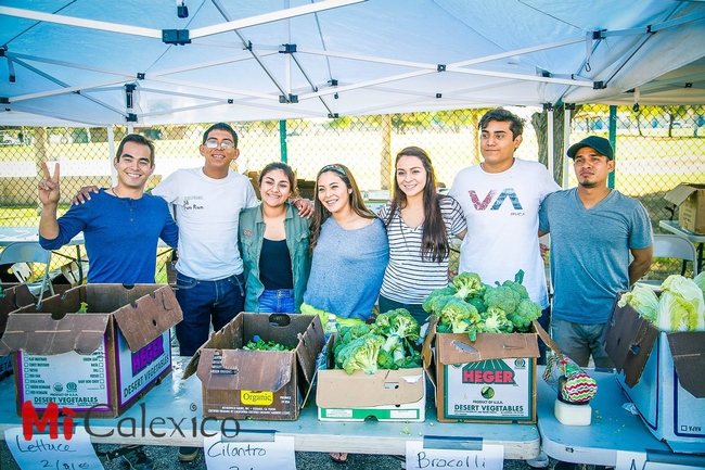 Seven young adults pose for a photo while standing behind fresh produce of broccoli.